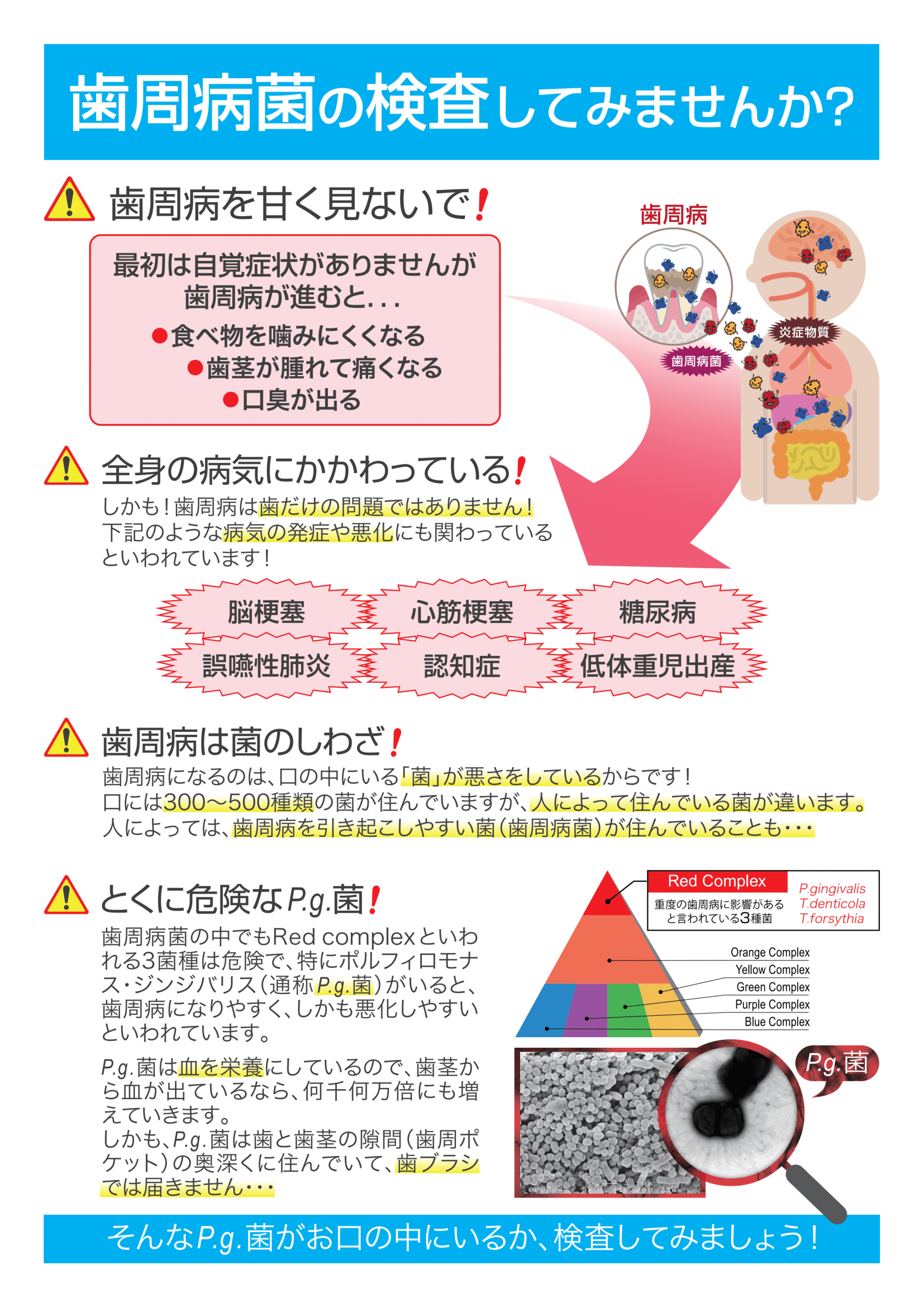 歯周病検査 説明資料